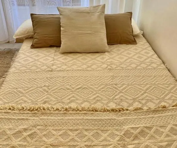 Proche De La Vieille Et Des Plages, Et Parking Gratuit ! Antibes